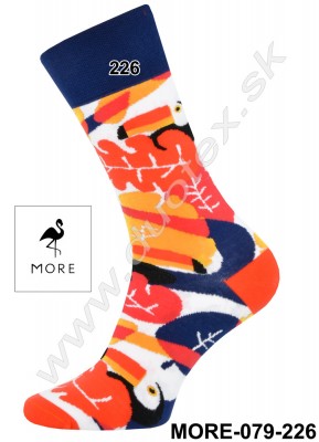 Pánske ponožky More-079-226